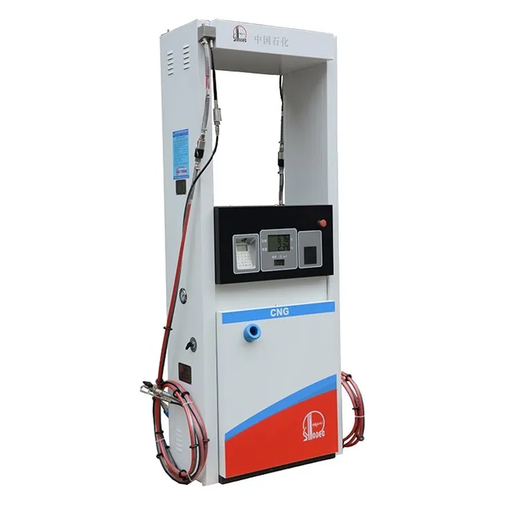 CNG Dispenser for Car3